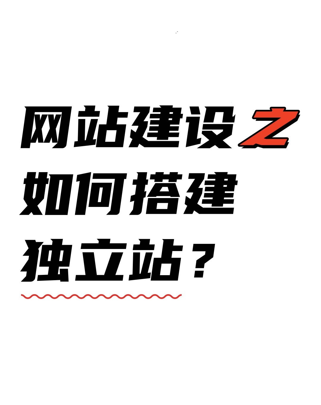 睿智創(chuàng)新RAIZ，一體化IT服務(wù)提供商